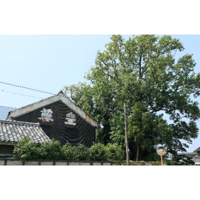蒲郡みかんのお酒「はるみ」　箱入り・Y052-8