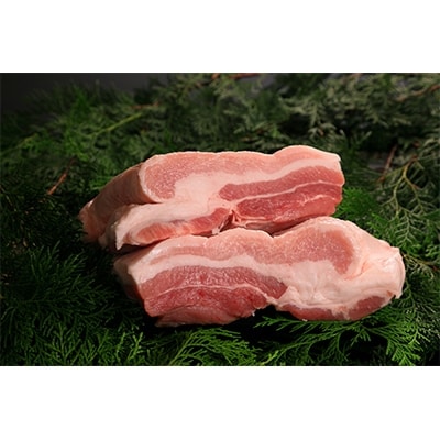 西尾の食材・素材にこだわって作り上げた＜西尾食宝＞煮豚セット(みそ味・醤油味　各2個)M036-18