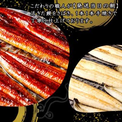 リピート続出!大サイズ335g以上　職人の手焼　食べ比べ2尾(蒲焼白焼各1尾)・Y082-17