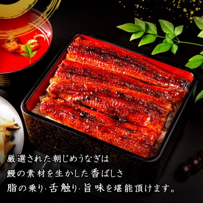 リピート続出!大サイズ335g以上　職人の手焼　食べ比べ2尾(蒲焼白焼各1尾)・Y082-17