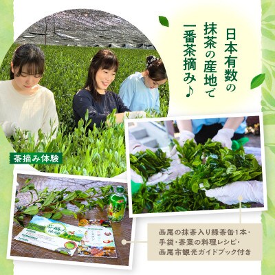 【体験期間2025年4月末～5月中旬】一番茶茶摘み体験と抹茶工場見学(平日)チケット1名分・N065