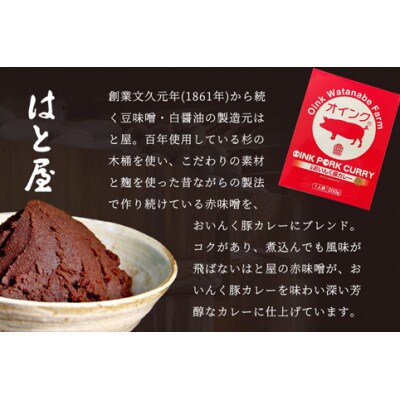 三河おいんく豚カレー【赤】(愛知の赤味噌入り)3箱・O033-8