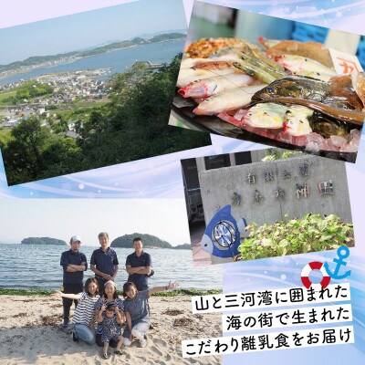 「おさかな離乳食セット」ととBaby(離乳中期セット)・K005-16