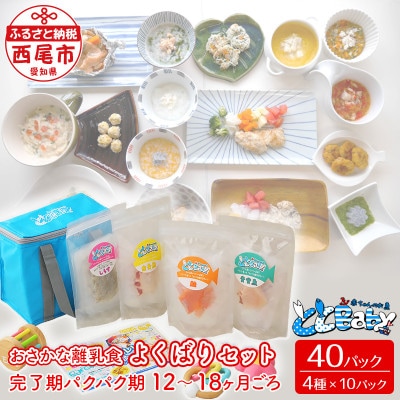 「おさかな離乳食セット」ととBaby(離乳完了期セット)・K007-25