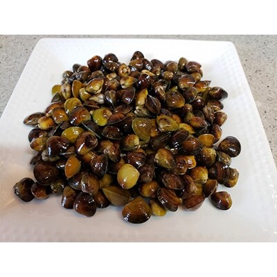 矢作川の栄養が詰まった三河産 天然しじみがたっぷり500g×5セット 310622-010