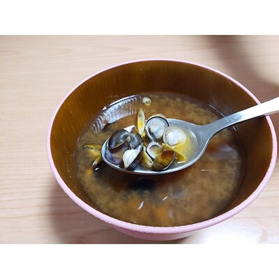 矢作川の栄養が詰まった三河産 天然しじみがたっぷり500g×5セット 310622-010