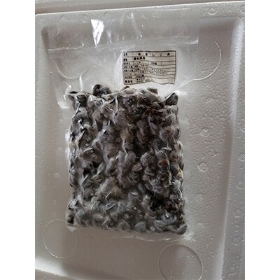矢作川の栄養が詰まった三河産 天然しじみがたっぷり500g×5セット 310622-010