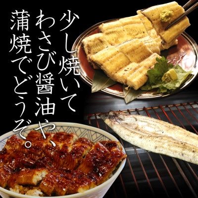 三河のうなぎ白焼き大サイズ2尾セットでお届け♪こだわりのタレ付・K185-16
