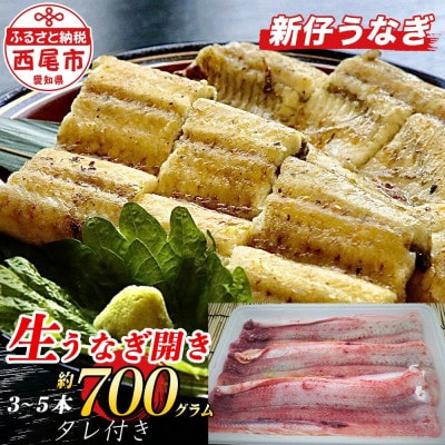 活きを開いてすぐ発送♪生うなぎ開き3～5本(約700g)ご家庭で蒲焼、白焼きに!・K188-20
