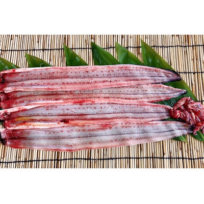 活きを開いてすぐ発送♪生うなぎ開き3～5本(約700g)ご家庭で蒲焼、白焼きに!・K188-25