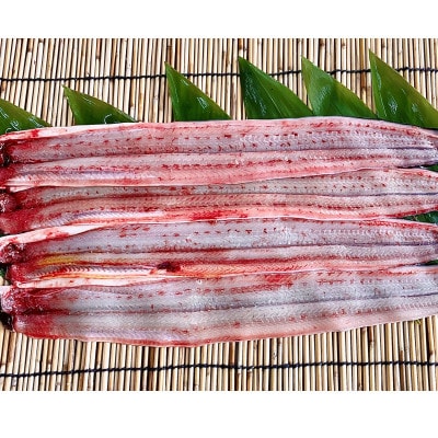 活きを開いてすぐ発送♪生うなぎ開き3～5本(約700g)ご家庭で蒲焼、白焼きに!・K188-20
