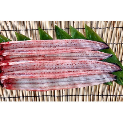 活きを開いてすぐ発送♪生うなぎ開き3～5本(約700g)ご家庭で蒲焼、白焼きに!・K188-20