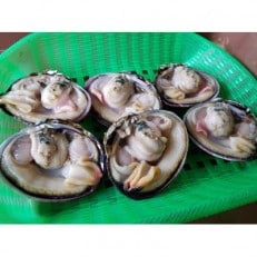 佐久島の漁師さんが獲った大あさり(半割り)【バーベキュー用1.5kg(約12～20個)】K088 | ふるさと納税のお礼品