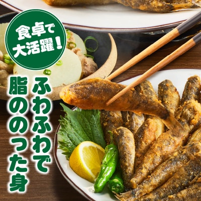 脂ののったメヒカリの唐揚げ(200g×5)1kg・K247-14