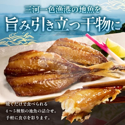 西尾の地魚　干物セット・K015-13