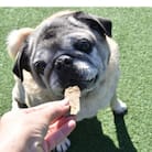 【12月限定価格】100%お魚で作ったペットフード「ぽわんこ」・K209-22_c2