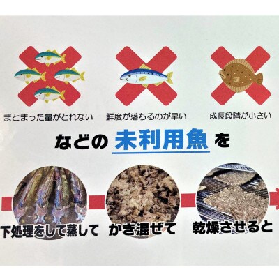 三河のお魚100%　こなこなぽわんこ・K243-12