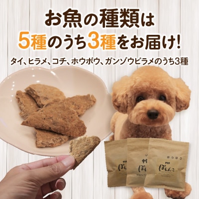 100%お魚で作ったペットフード「ぽわんこ」お試しサイズ・K322