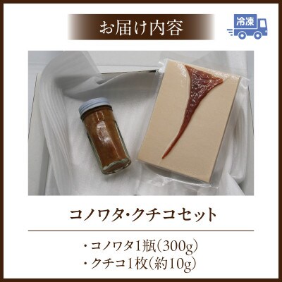 コノワタ・クチコセット・K335