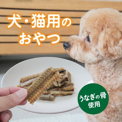 ほねほねぽわんこ 3袋セット・K336