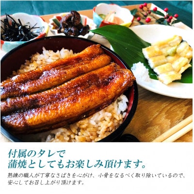 三河一色産こだわりの手焼き白焼きうなぎ(4尾冷凍)・H002-26