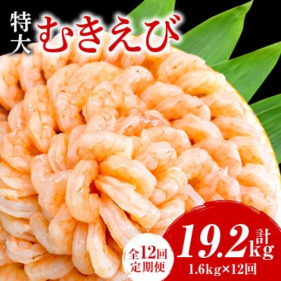 【定期便12回】特大大盛むきえび1.6kg(正味)・K304
