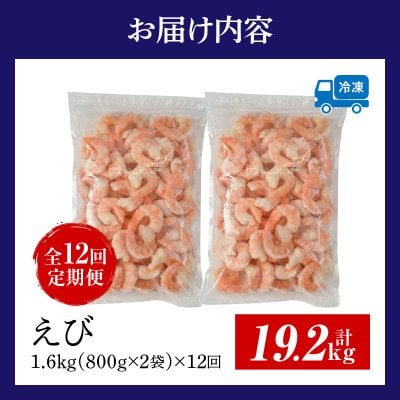 【定期便12回】特大大盛むきえび1.6kg(正味)・K304