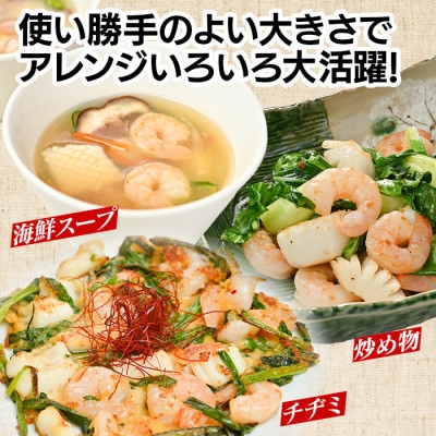 【定期便12回】特大大盛エビイカミックス　1.6kg(正味)・K309