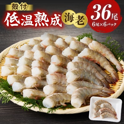 殻付き低温熟成海老6尾×6P・K318