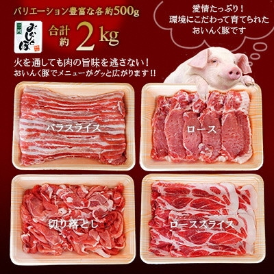 「三河おいんく豚」4種食べ比べセット2kg・T012-15