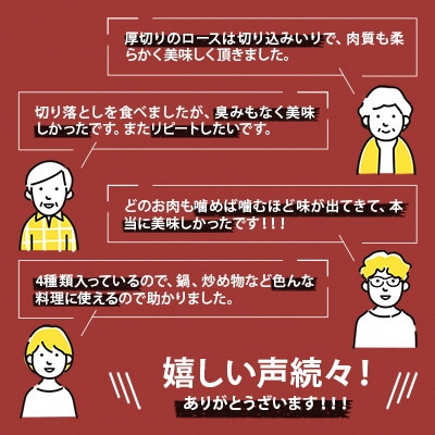 「三河おいんく豚」4種食べ比べセット2kg・T012-15
