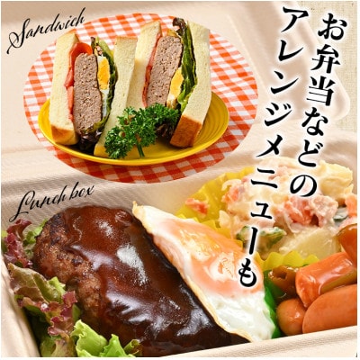 【250g×10個】精肉卸問屋が自信をもってお届けするハンバーグ(デミグラスソース)・T098