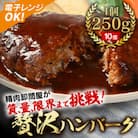 【250g×10個】精肉卸問屋が自信をもってお届けする贅沢ハンバーグ(デミグラスソース)・T098