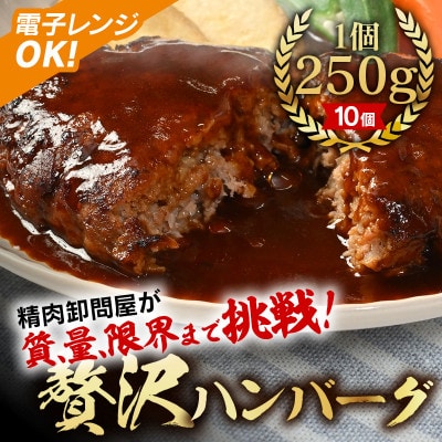 お肉の定期便(ハンバーグ、焼豚)・T124