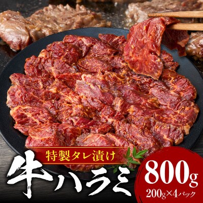 牛ハラミ　肉屋こだわりの特製タレ漬け800g(200g×4P)・T133