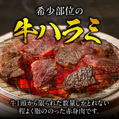 牛ハラミ　肉屋こだわりの特製タレ漬け800g(200g×4P)・T133