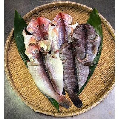 元漁師が作る高級魚セット・T018-22