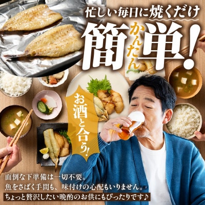 三河湾地魚モリモリセット・T020-13