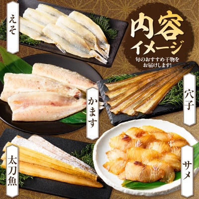 三河湾地魚モリモリセット・T020-13