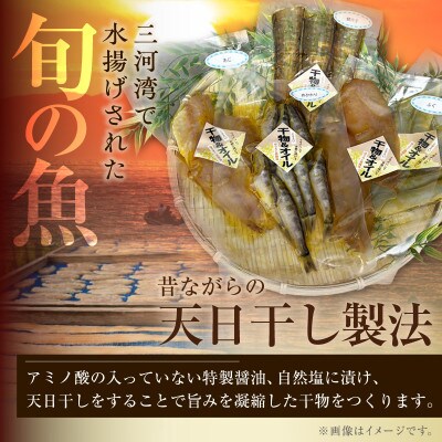菜種油漬け干物セット・T139