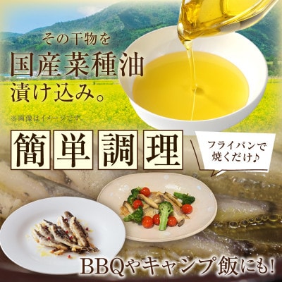 菜種油漬け干物セット・T139