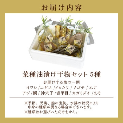 菜種油漬け干物セット・T139