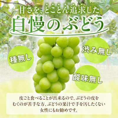 【数量限定】シャインマスカット(2～3房)1kg以上・E001-13