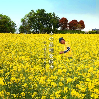 薪焙煎 純国産菜種100%「ほうろく菜種油伝承油」460g×6本・H040-54