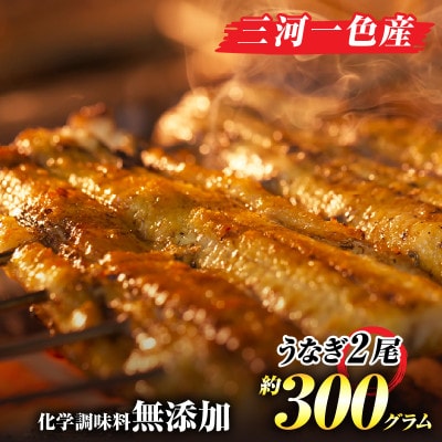 手焼き三河一色産1年うなぎ蒲焼2尾(約300g)・A140-17
