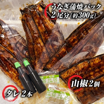 手焼き三河一色産1年うなぎ蒲焼2尾(約300g)・A140-17