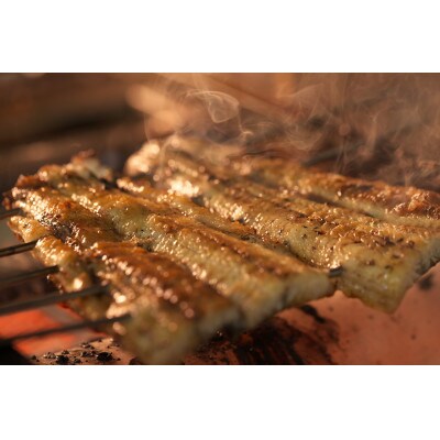 手焼き三河一色産めすうなぎ蒲焼2尾(約400g)・A205