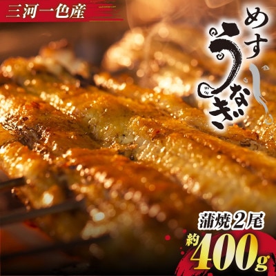 手焼き三河一色産めすうなぎ蒲焼2尾(約400g)・A205