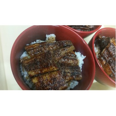 手焼き三河一色産めすうなぎ蒲焼2尾(約400g)・A205