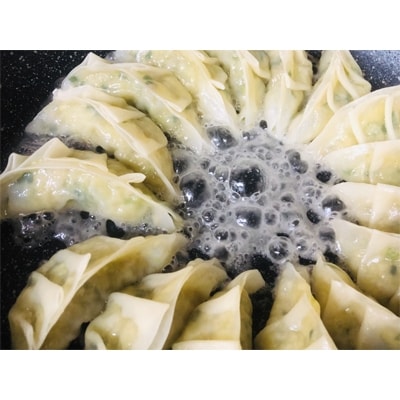 亀井寿しの手作り餃子(64個) K021